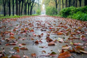 पतझड़ और बहार/ राजकुमार 'मसखरे'