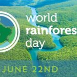 विश्व वर्षावन दिवस (World Rainforest Day) पर कविता