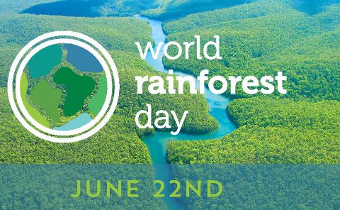विश्व वर्षावन दिवस (World Rainforest Day) पर कविता